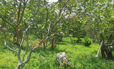 Casa Finca en venta en Mesitas del Colegio