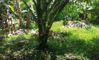 Casa Finca en venta en Mesitas del Colegio