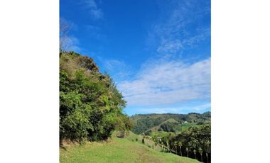 VENTA DE FINCA - LOTE INDUSTRIAL EN CALDAS ANTIOQUIA