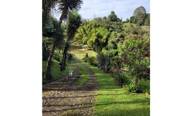 VENTA DE FINCA - LOTE INDUSTRIAL EN CALDAS ANTIOQUIA