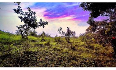 Lote Independiente Llanogrande Sector Cabeceras