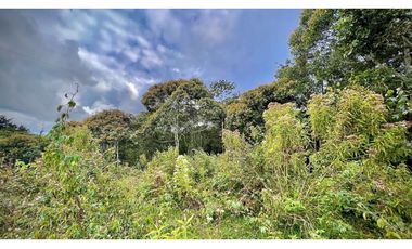 Lote Independiente Llanogrande Sector Cabeceras