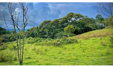 Lote Independiente Llanogrande Sector Cabeceras