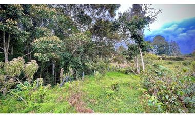 Lote Independiente Llanogrande Sector Cabeceras