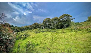 Lote Independiente Llanogrande Sector Cabeceras