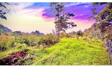 Lote Independiente Llanogrande Sector Cabeceras