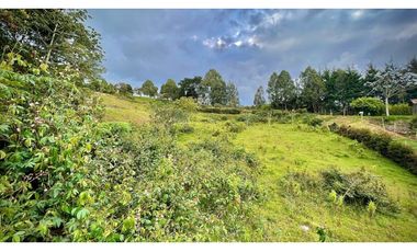 Lote Independiente Llanogrande Sector Cabeceras