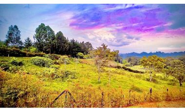 Lote Independiente Llanogrande Sector Cabeceras