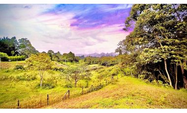 Lote Independiente Llanogrande Sector Cabeceras