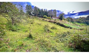 Lote Independiente Llanogrande Sector Cabeceras