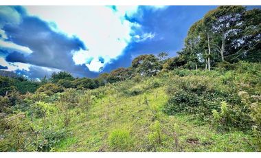 Lote Independiente Llanogrande Sector Cabeceras