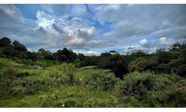 Lote Independiente Llanogrande Sector Cabeceras