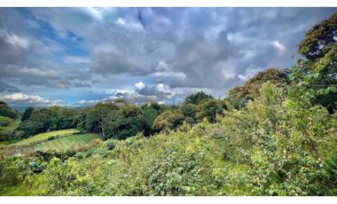 Lote Independiente Llanogrande Sector Cabeceras