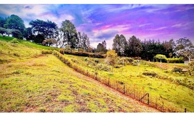 Lote Independiente Llanogrande Sector Cabeceras