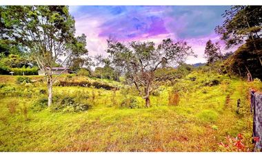 Lote Independiente Llanogrande Sector Cabeceras