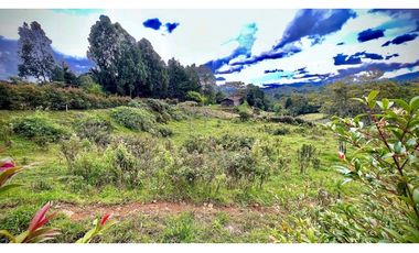 Lote Independiente Llanogrande Sector Cabeceras