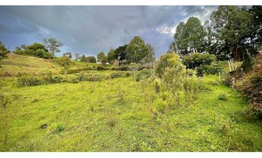 Lote Independiente Llanogrande Sector Cabeceras