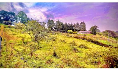 Lote Independiente Llanogrande Sector Cabeceras