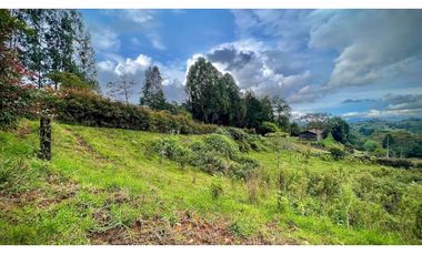 Lote Independiente Llanogrande Sector Cabeceras