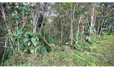 Lote Independiente Llanogrande Sector Cabeceras