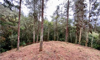 Lote Alto Palmas Sector Variante Aeropuerto (Retiro)