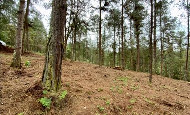 Lote Alto Palmas Sector Variante Aeropuerto (Retiro)