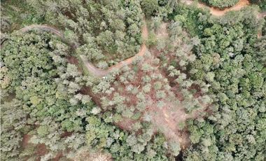 Lote Alto Palmas Sector Variante Aeropuerto (Retiro)