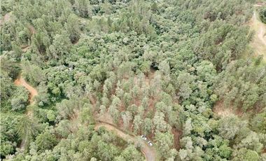 Lote Alto Palmas Sector Variante Aeropuerto (Retiro)