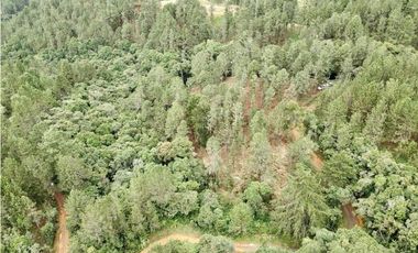 Lote Alto Palmas Sector Variante Aeropuerto (Retiro)
