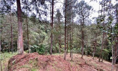 Lote Alto Palmas Sector Variante Aeropuerto (Retiro)