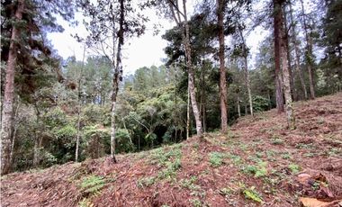 Lote Alto Palmas Sector Variante Aeropuerto (Retiro)