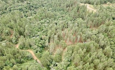 Lote Alto Palmas Sector Variante Aeropuerto (Retiro)