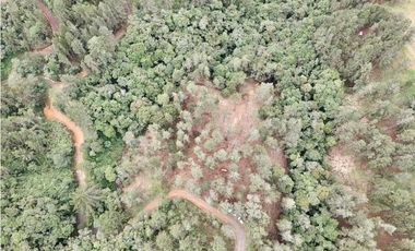 Lote Alto Palmas Sector Variante Aeropuerto (Retiro)