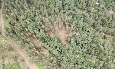 Lote Alto Palmas Sector Variante Aeropuerto (Retiro)