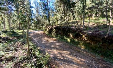 Lote Alto Palmas Sector Variante Aeropuerto (Retiro)