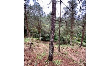 Lote Alto Palmas Sector Variante Aeropuerto (Retiro)