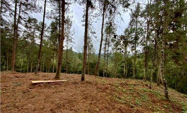 Lote Alto Palmas Sector Variante Aeropuerto (Retiro)
