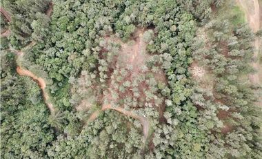 Lote Alto Palmas Sector Variante Aeropuerto (Retiro)