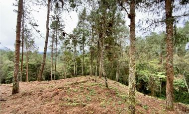 Lote Alto Palmas Sector Variante Aeropuerto (Retiro)