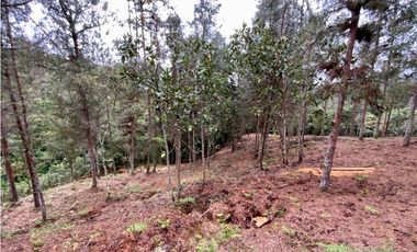 Lote Alto Palmas Sector Variante Aeropuerto (Retiro)