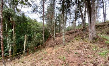 Lote Alto Palmas Sector Variante Aeropuerto (Retiro)