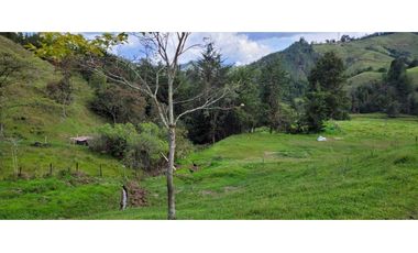 Venta de Lote en el Retiro Sector Puente Pelaez