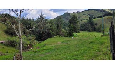 Venta de Lote en el Retiro Sector Puente Pelaez