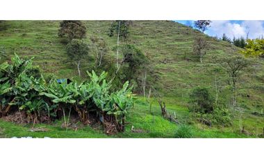 Venta de Lote en el Retiro Sector Puente Pelaez