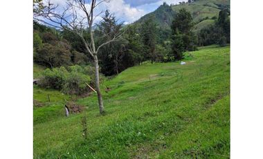 Venta de Lote en el Retiro Sector Puente Pelaez