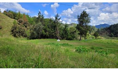 Venta de Lote en el Retiro Sector Puente Pelaez