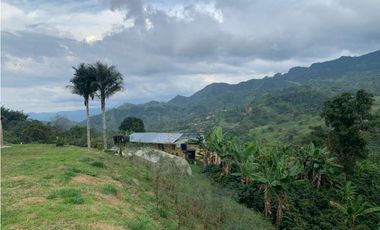 VENDE FINCA PRODUCTIVA EN SASAIMA