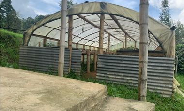 VENDE FINCA PRODUCTIVA EN SASAIMA