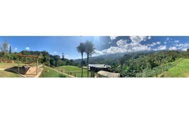 VENDE FINCA PRODUCTIVA EN SASAIMA