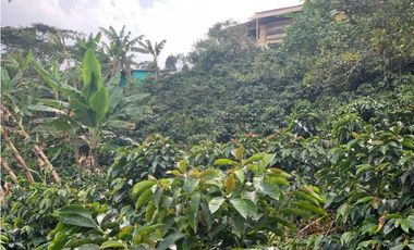 VENDE FINCA PRODUCTIVA EN SASAIMA